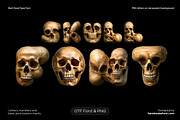 Skull Font, a Handwritten Font by Handmadefont (Thumbnail 1 of 10)