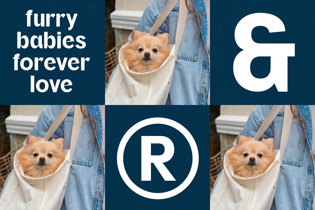 Oritale Modern Display Font, a Sans Serif Font by timelesstype.co (Photo 3 of 20)