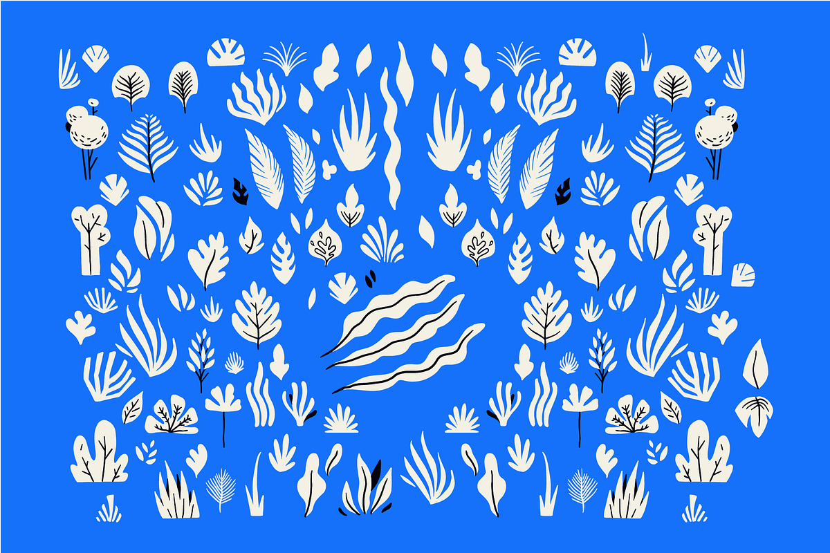 Tropical vector set, an Illustration by La Station B. (Photo 2 of 6)