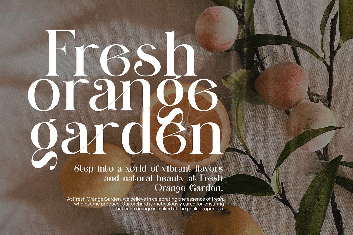 Climas Elegant Serif Font By Perfectype preview 4