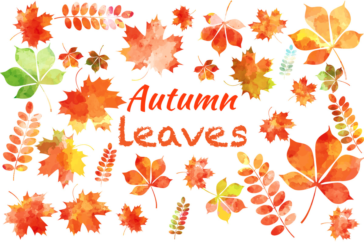 Set of autumn leaves+patterns., a Decorative Illustration by Della_Liner (Photo 1 of 8)