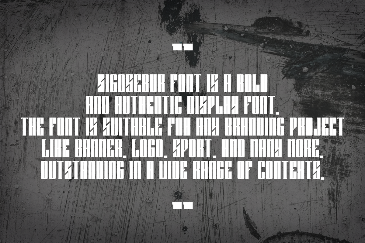 Sigosebur, a Sans Serif Font by QR Design Studio (Photo 5 of 9)