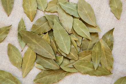 Raw Bay Leaves on cloth, overhead view. Flat lay, top view, from, a Food & Drink Photo by LiudmylaChuhunova