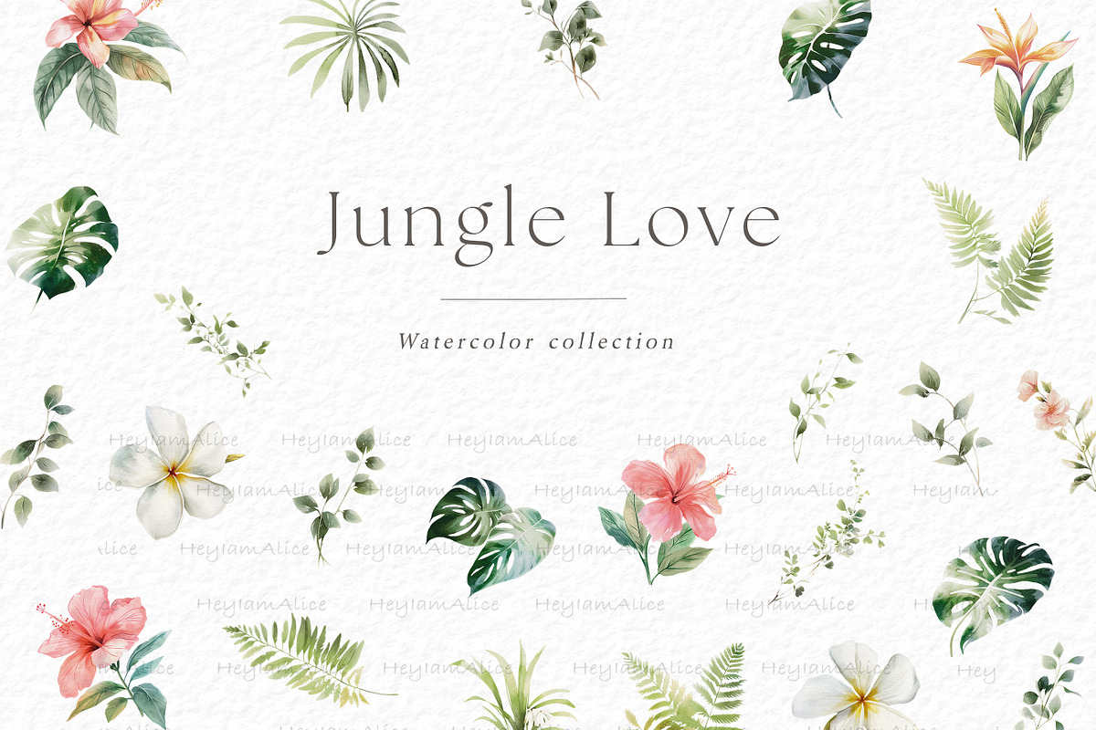 Jungle floral clipart, a Decorative Illustration by heyiamalice (Photo 5 of 10)