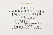 Praysire - Elegant Stylish Font, a Sans Serif Font by Letterhend Studio (Thumbnail 8 of 11)