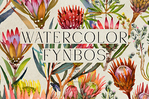 Watercolor Fynbos Flowers