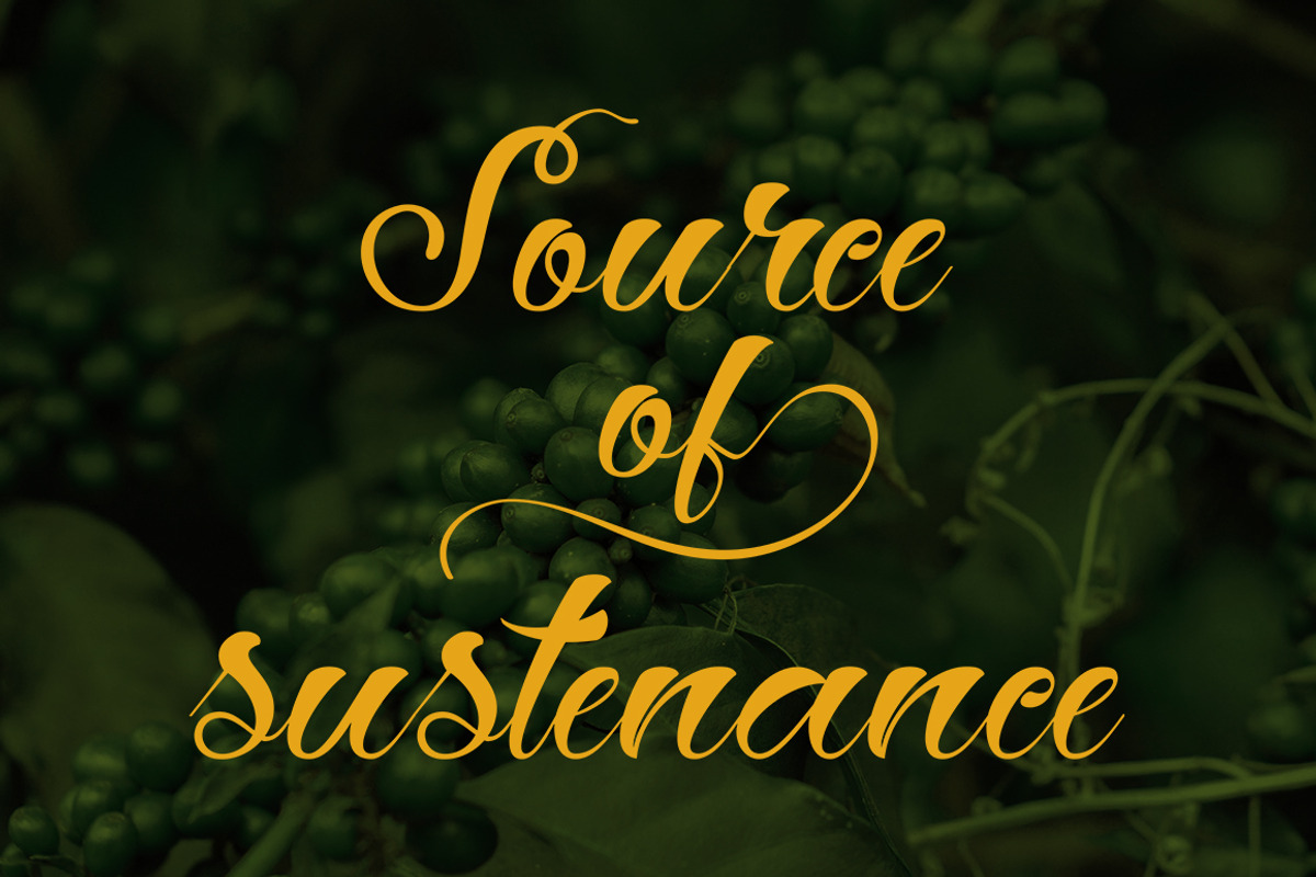 Hey Jintan, a Script Font by Gatype (Photo 3 of 10)
