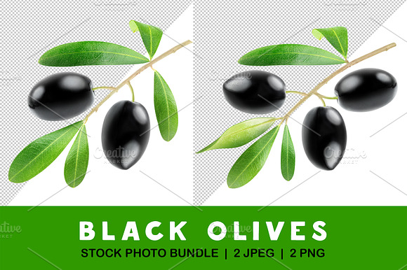 Branch With Black Olives
