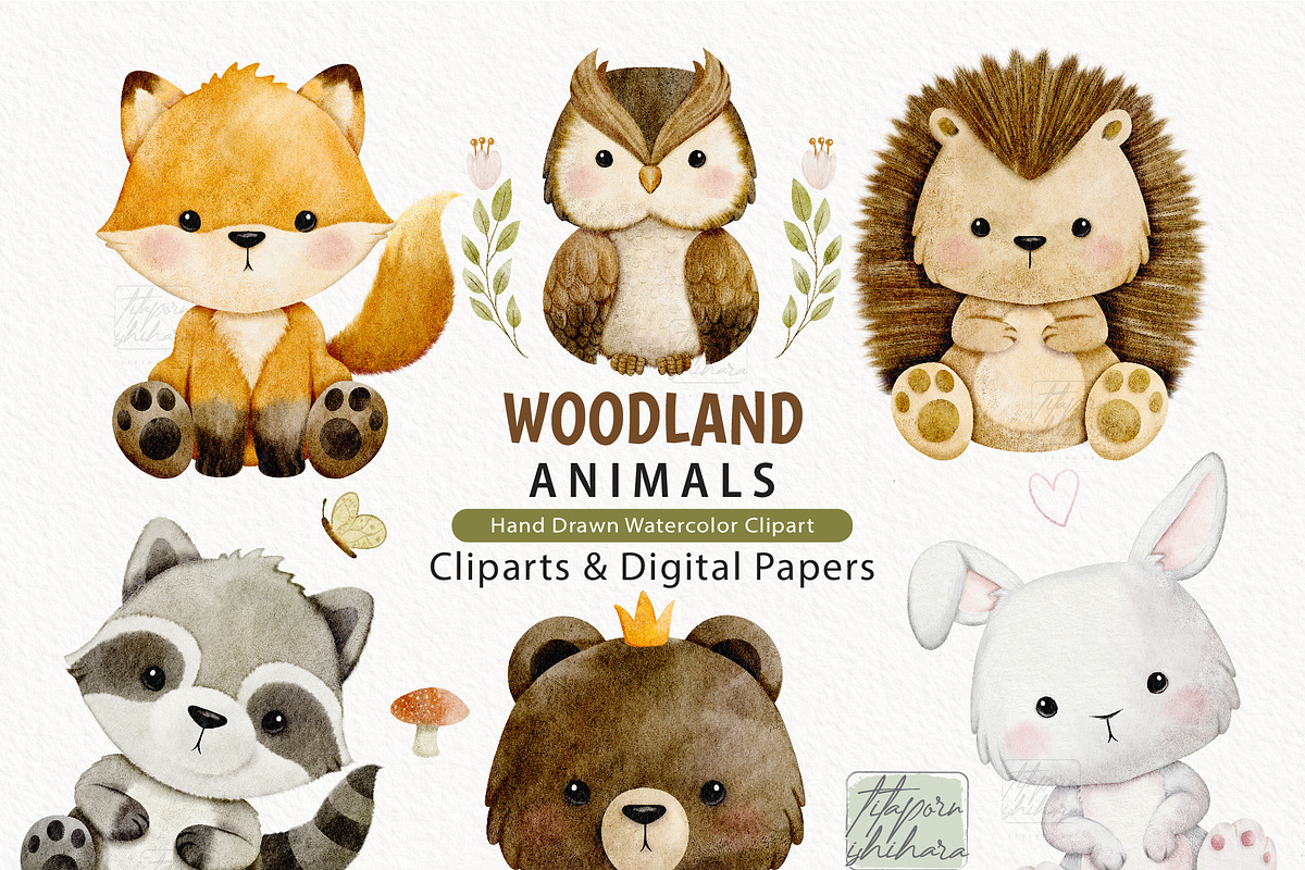 Watercolor Woodland Animals Clipart, an Animal Illustration by TitaLivingArt (Photo 1 of 11)