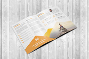 Corporate Bifold Brochure Template, a Brochure Template by Alice_s (Thumbnail 12 of 12)