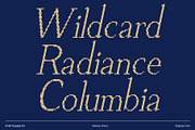 Vellany Disco, a Serif Font by Craft Supply Co. (Thumbnail 2 of 8)