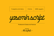 Yasemin, a Script Font by BULENT YUKSEL (Thumbnail 1 of 11)
