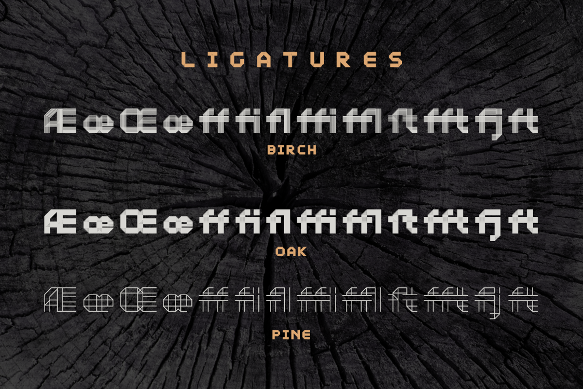 Moku26 Birch (Ver.3) preview 6