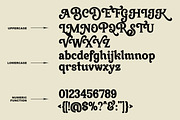 Madlin - Ligature Serif Font, a Serif Font by Luna Shop (Thumbnail 3 of 6)