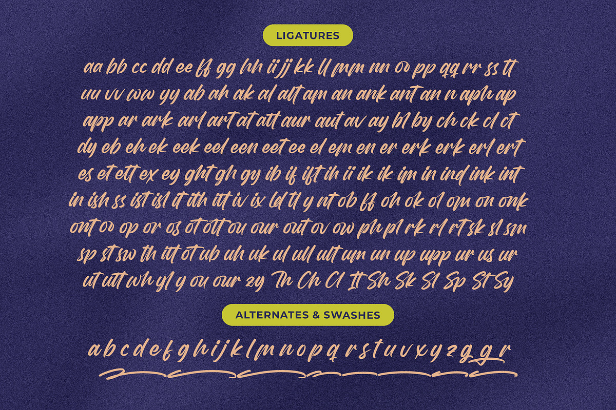 Theglory Skemaro Bold Handwritten, a Script Font by Letterena Studios Script (Photo 19 of 20)