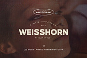 Weisshorn Bold Sans Font Family, a Sans Serif Font by Artcoast Std. (Thumbnail 1 of 10)