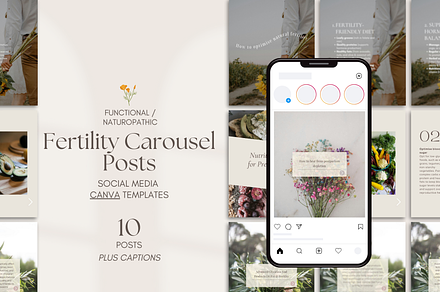 Fertility Carousel Posts, a Templates & Theme by Naturopath Hub