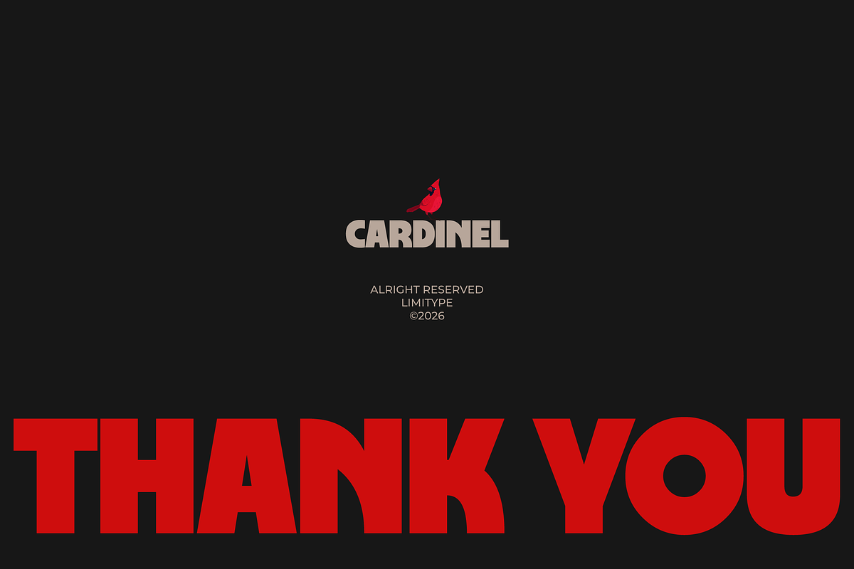 Cardinel - Bold Font, a Sans Serif Font by limitype (Photo 13 of 13)