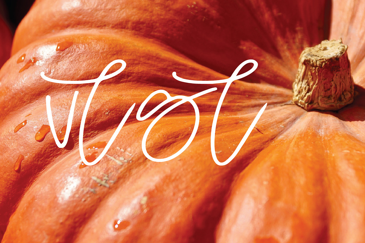 harvest font preview 3