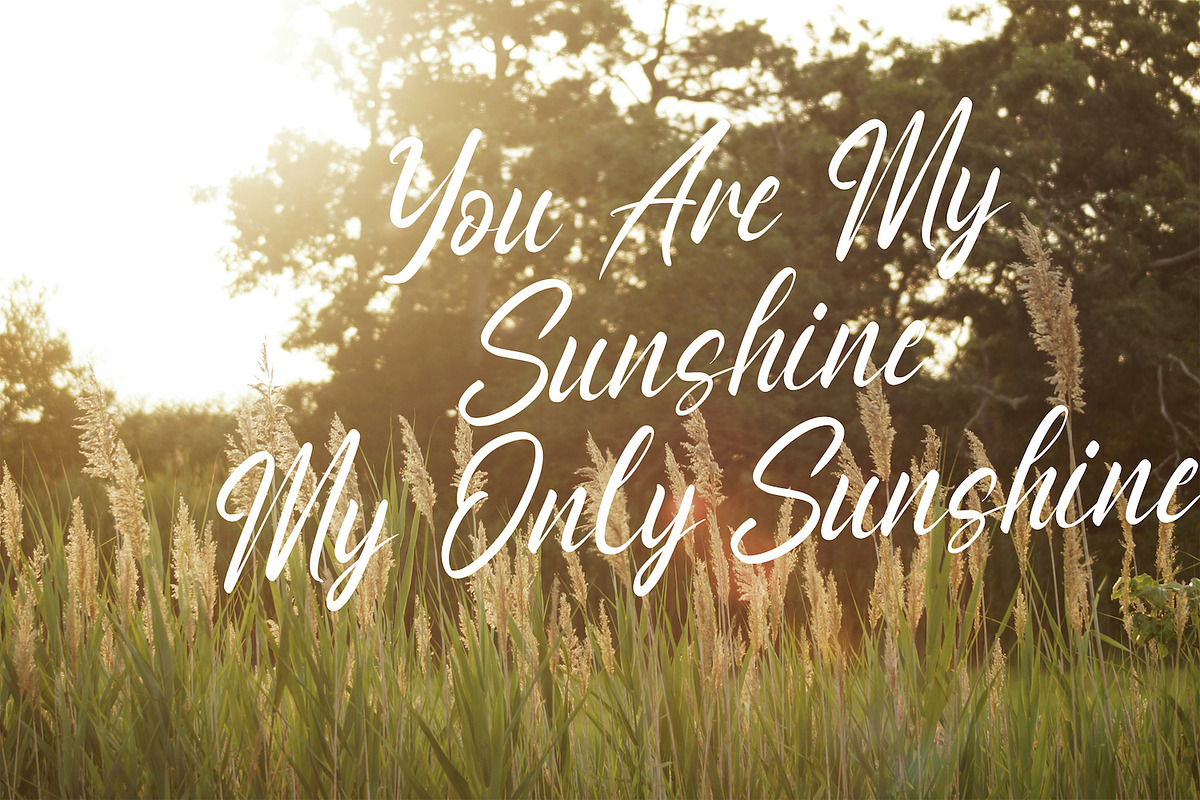 Anthony Louis - Modern Script Font, a Script Font by StringLabs (Photo 8 of 11)