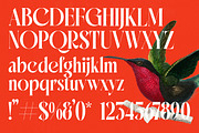Mactge Modern Serif Display Font, a Serif Font by timelesstype.co (Thumbnail 18 of 20)