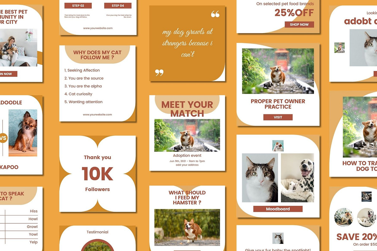 Pet Shop Social Media Post Canva, a Social Media Template by BoontenStudio (Photo 2 of 7)
