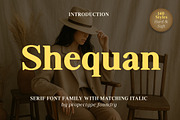 Shequan, a Serif Font by Propertype (Thumbnail 1 of 15)