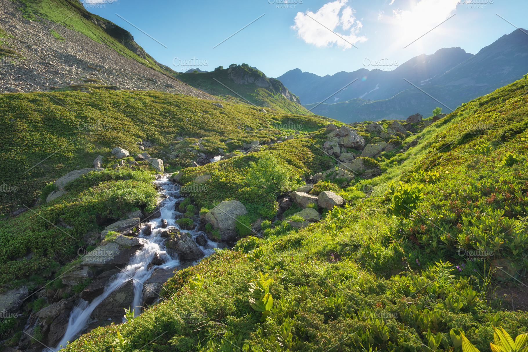 Water stream in green summer mountin, a Photo by djgis