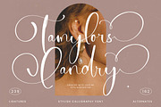 Tamylors Landry Stylish Calligraphy, a Script Font by stylishtype.co (Thumbnail 1 of 20)