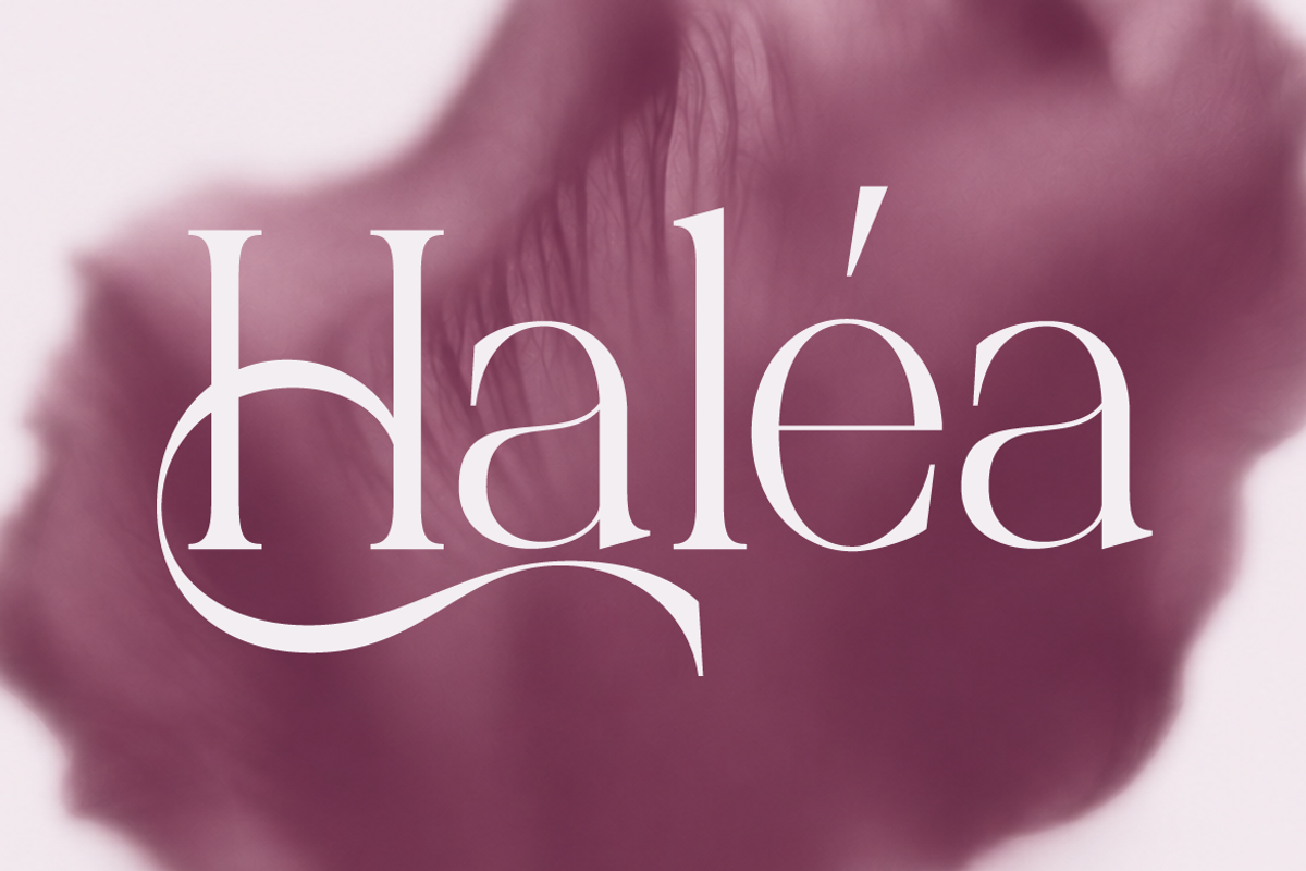 Palgrace Modern Serif Typeface Font, a Serif Font by Vadovastd (Photo 5 of 11)