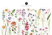 Dreaming Watercolor WILDFLOWER, a Decorative Illustration by Beigetime (Thumbnail 3 of 14)
