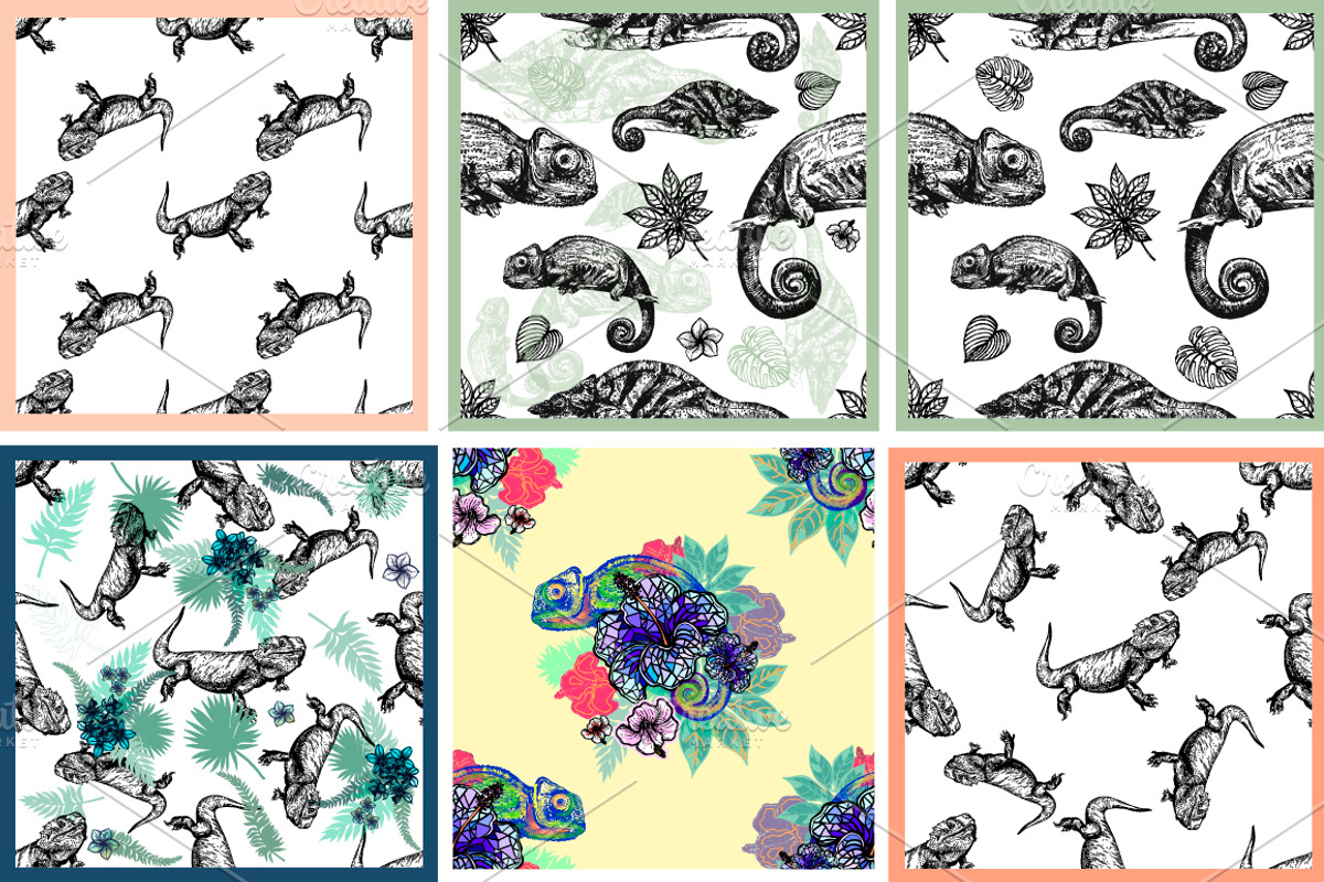 Reptiles, an Animal Illustration by Ecaterina Sciuchina (Photo 3 of 5)