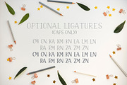 Magickal Moments, a Serif Font by Design with Mina (Thumbnail 9 of 10)