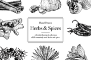 Hand Drawn Herbs & Spices, a Food Illustration by Linseed Studio (Thumbnail 1 of 10)