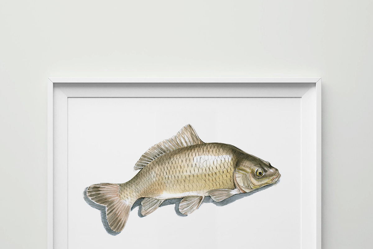 SEAFOOD WATERCOLOR SET, a Food Illustration by wedraw (Photo 3 of 5)