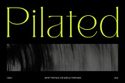 Pilated - Serif Typeface, a Serif Font by Craft Supply Co. (Thumbnail 1 of 8)