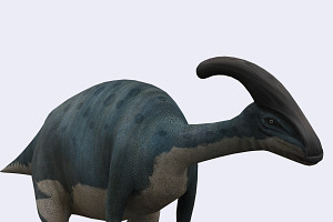 3DRT - Dinosaurs - Parasaurolophus