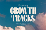 Growth Tracks - Aesthetic Serif Font, a Serif Font by Fype Co. (Thumbnail 1 of 5)