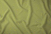 Fluid Pattern Set, a Pattern Graphic by Inkwell Supply Co (Thumbnail 11 of 14)