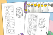 Foldable Life Cycle Bundle, a Stationery Template by AIW SOLUTIONS (Thumbnail 9 of 11)