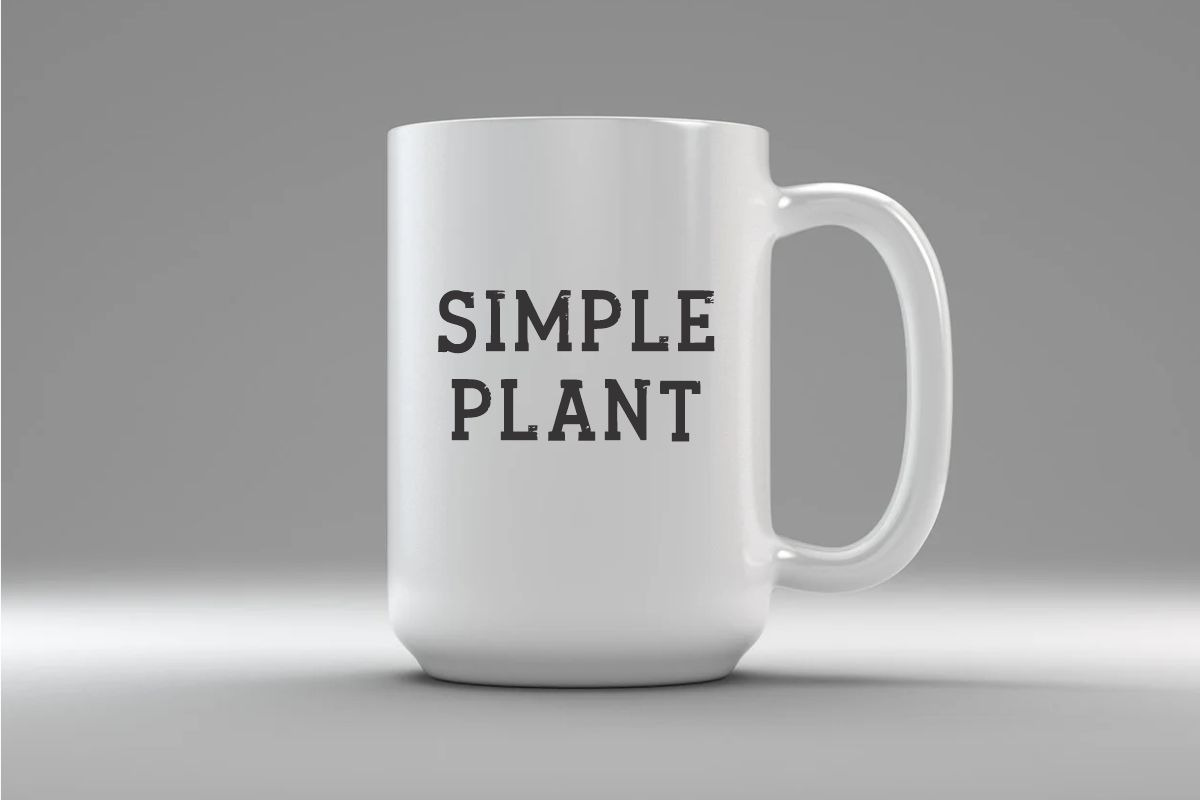 Campus Student, a Sans Serif Font by Limited.studio (Photo 4 of 8)