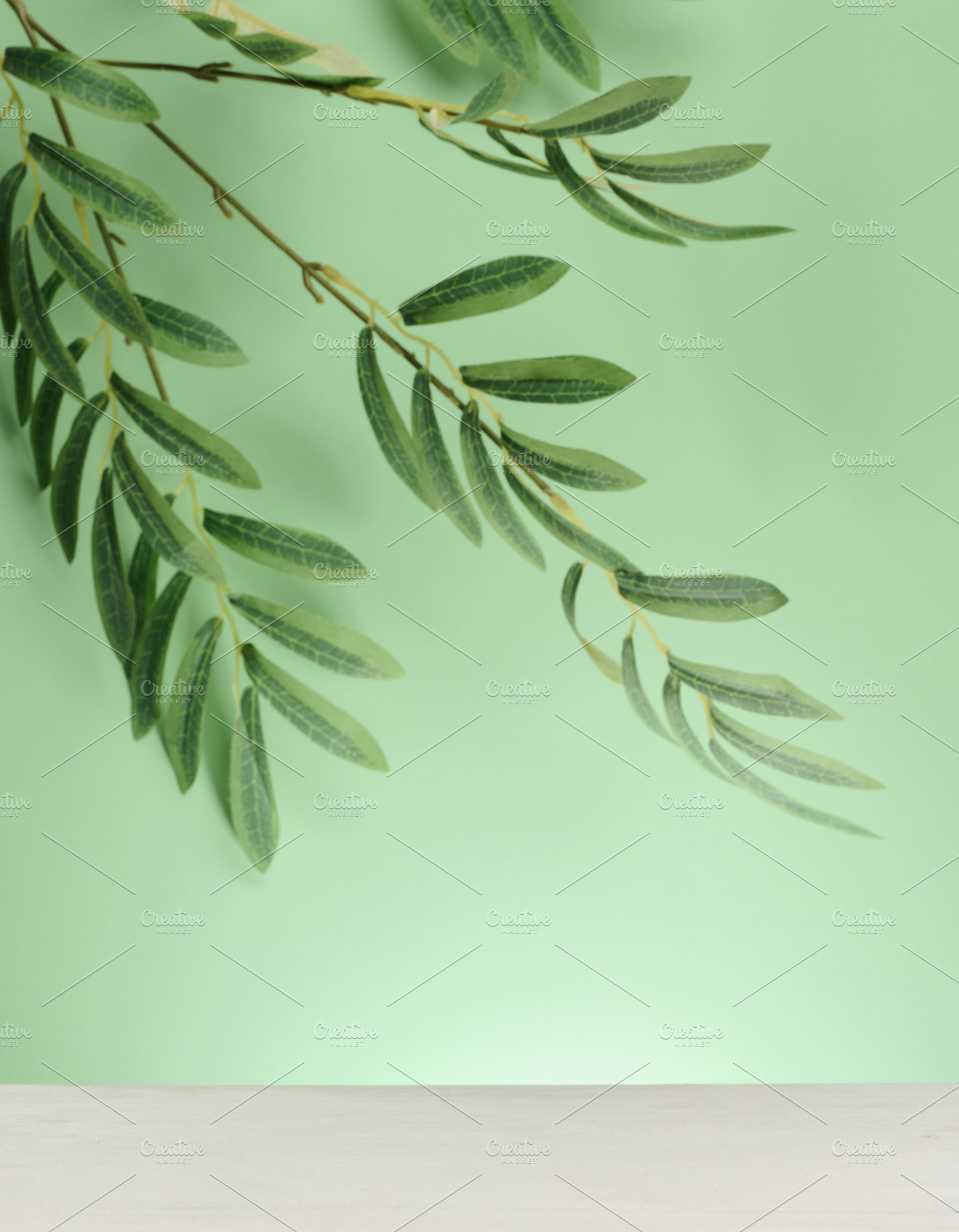 Green background with olive tree branch hanging from above. Whit, a Background Photo by ndanko