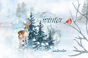 The winter