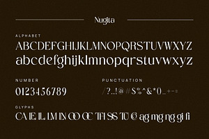 Nugita Elegant Serif Font Typeface