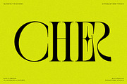 SLTF BOXROOM - Modern Serif Typeface, a Serif Font by SilverStag Type Foundry (Thumbnail 19 of 30)