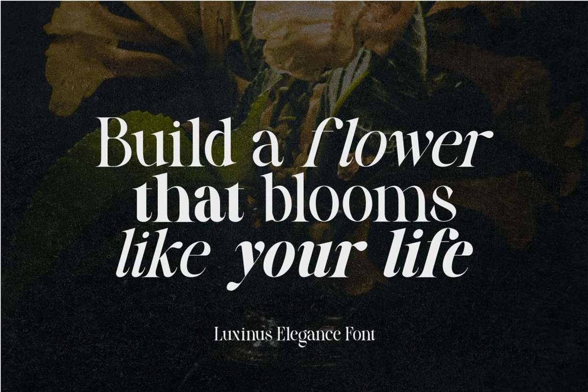 Luxinus Elegance Serif Family, a Serif Font by suhadidesign (Photo 6 of 16)