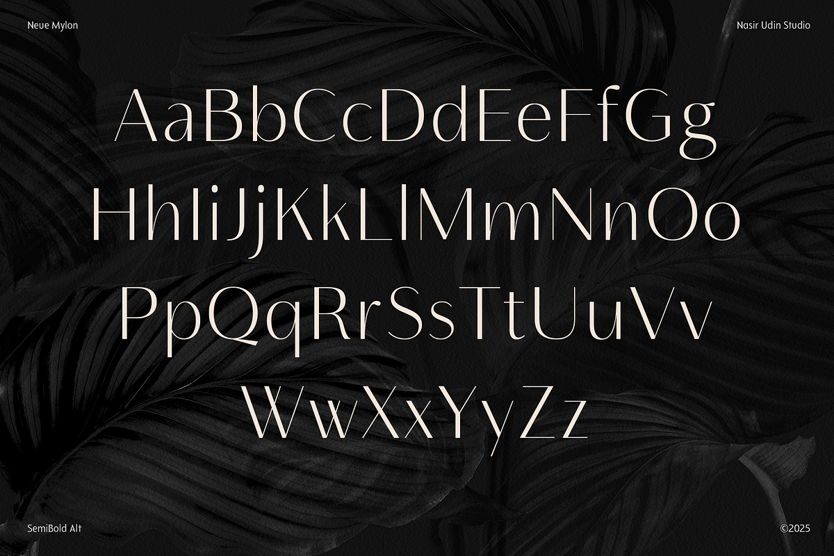Neue Mylon - 21 Fonts, a Sans Serif Font by Nasir Udin (Photo 11 of 14)