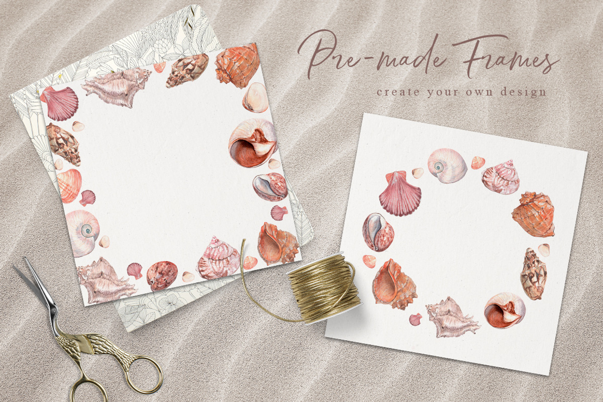 Sea shells Watercolor collection, an Illustration by CrystalinaShop (Photo 4 of 5)
