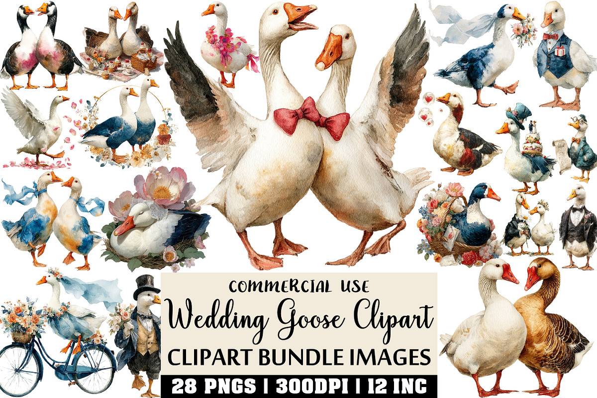 Wedding Goose Clipart, an Illustration by Craft Nest (Photo 1 of 6)