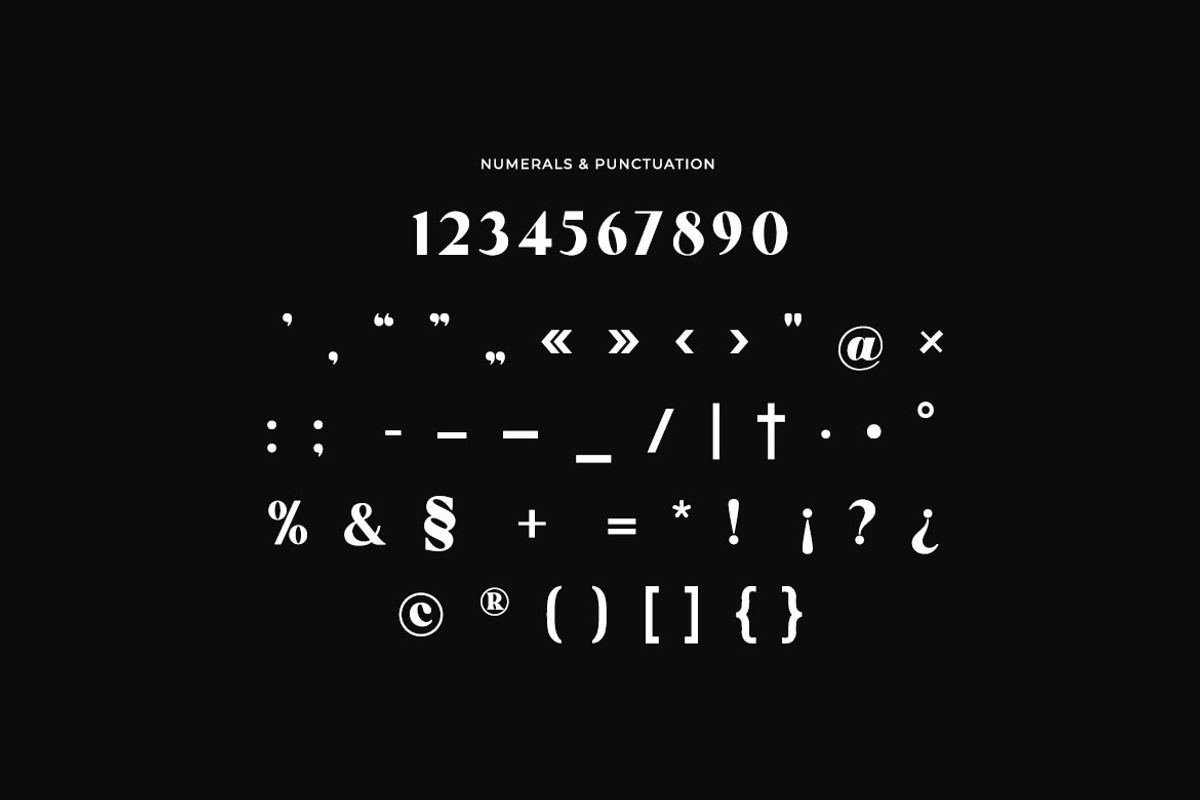 Retrograde Modern Retro Serif Font, a Serif Font by UICreative (Photo 7 of 13)